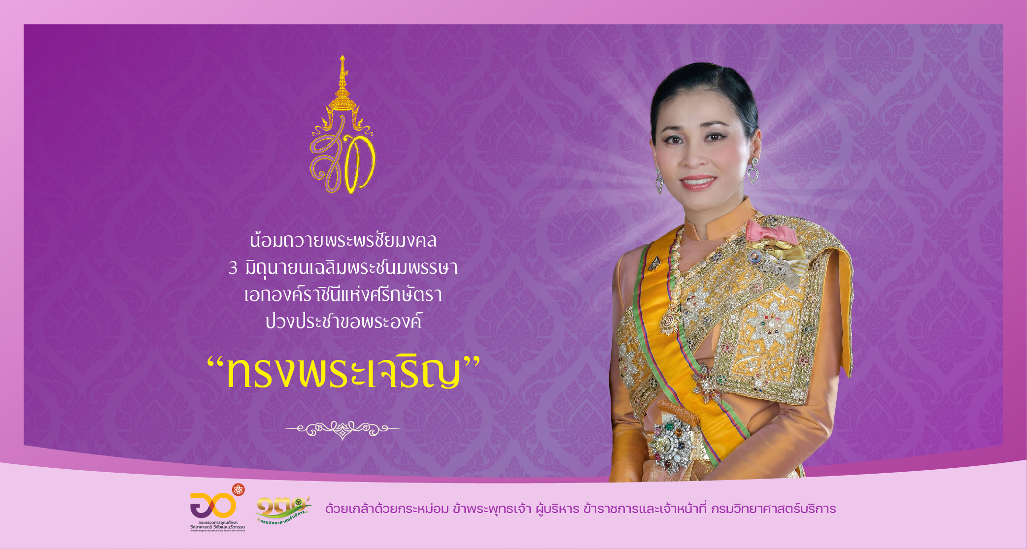 popup queen roya of suthida