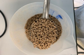 C2 3