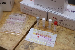 C4 4