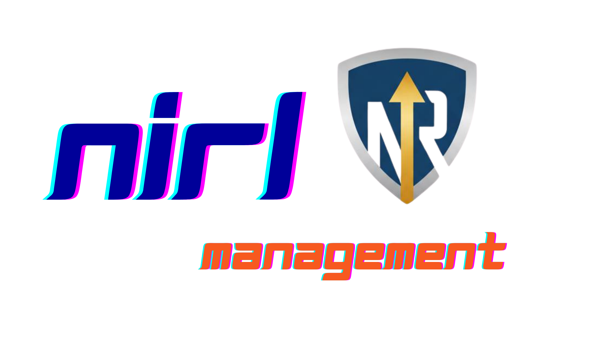 Npl Risk Management Icon Risk management - NIRL-DSS